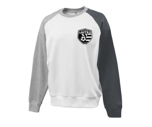 Colorblock Crewneck